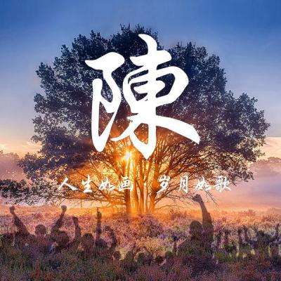 宝可梦战斗卡live手游下载